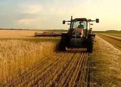 2020年中央一号文件公布