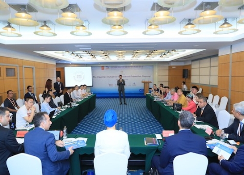  埃及工业投资促进研讨会