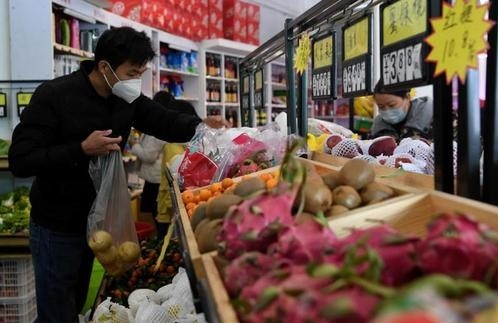 王小鲁：疫情下应以保障民生优先 投资扩张慎行