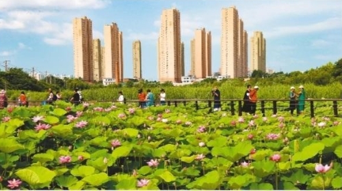 建设绿色城市 共享美好生活