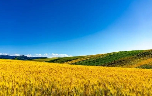 30种玩法，激活休闲农业！