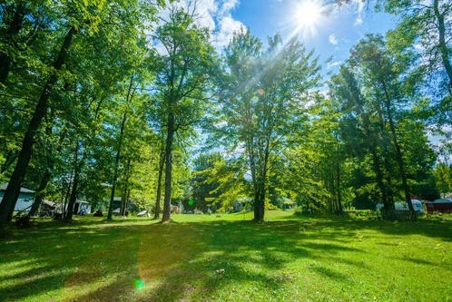 让“绿色”惠及一座城