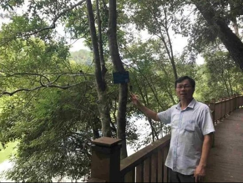 赣南苏区：开辟绿色发展新路径 绘就美丽中国“江西样板