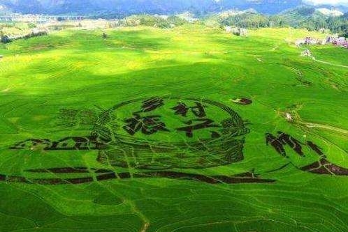 《中国乡村振兴发展研究报告丛书》发布