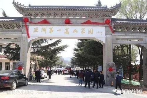 因地制宜 彰显特色│灵宝市特色小镇建设形成美丽“风景线”