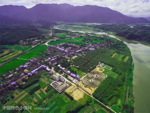 卫闽：花果风情特色小镇