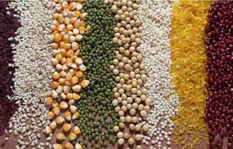 亮亮百姓“粮仓家底”——专访国家粮食和物资储备局负责人