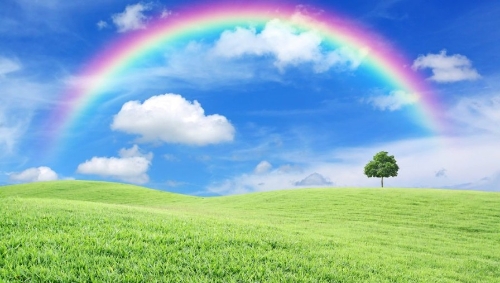 “邮来已久，绿动未来” 滨州市邮政管理局联合市生态环境局发布绿色环保倡议书