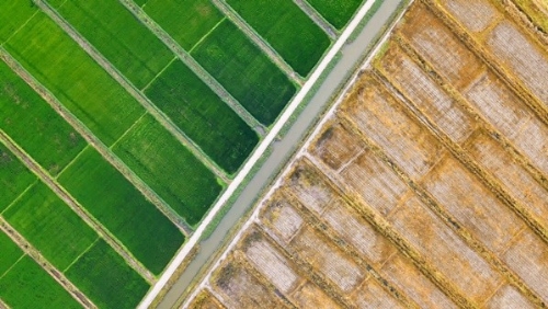 瓦房店市现代农业产业园入选国家创建名单