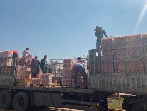 镇沅县：打造绿色产业基地 促进绿色产业发展