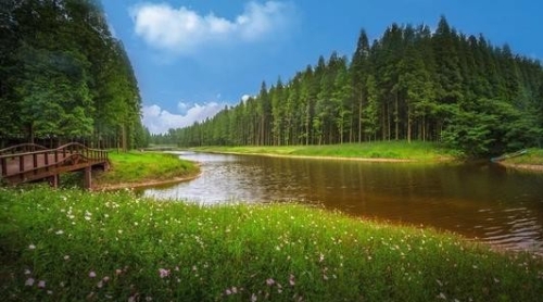 绿色发展要闻丨国家林草局对破坏森林资源问题严重的县政府开展督办约谈警示