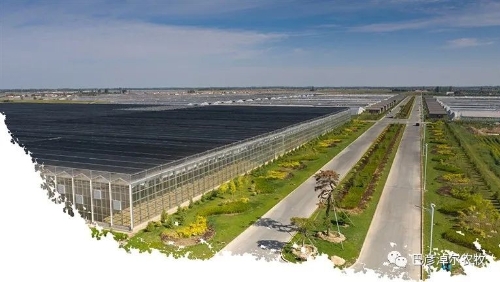 临河：走好绿色兴农、品牌兴农之路