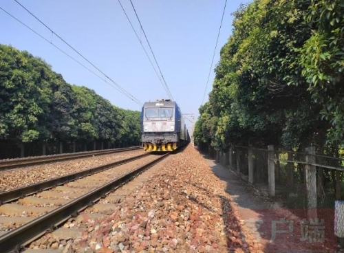 让列车穿行在绿色长廊