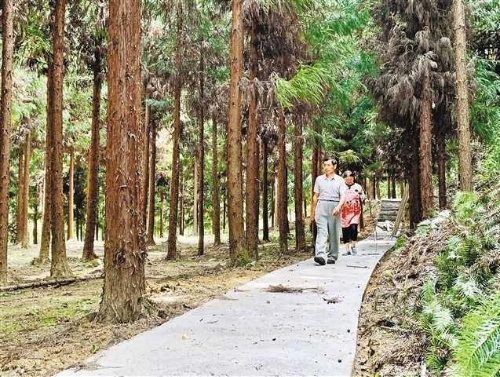 种出“绿色银行”