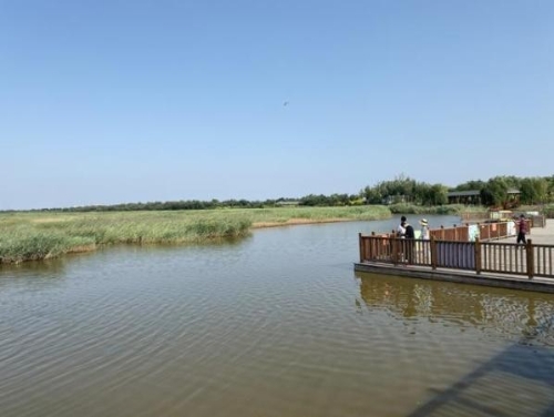 持续推进双城绿色屏障建设 滨海新区打造绿色发展“新样板”