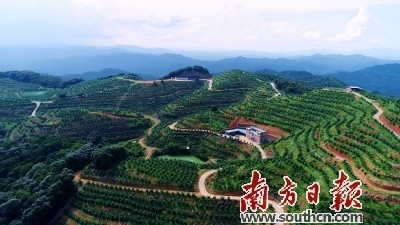 深耕绿色产业 红土地变“金洼地”