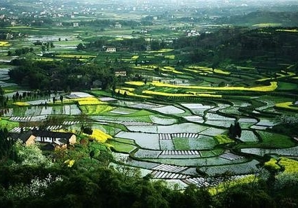 四川“10条措施”做好就业扶贫