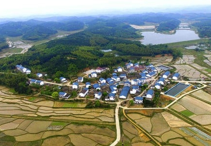 深圳：当年农业县蝶变，创出千余项国内第一