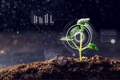 广西乐业：大数据助纾困 小产业能富民