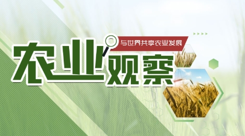 农业品牌如何更具竞争力？做好“特”“优”|农业观察