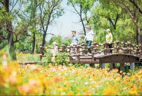 绿色“复兴”，变身城市“后花园”