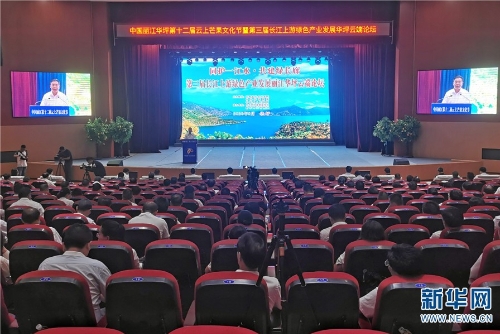 专家学者齐聚金沙江畔 共话华坪绿色产业发展