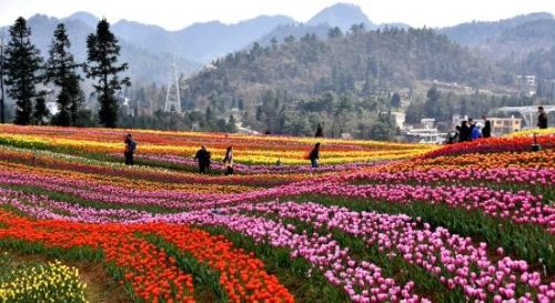 贵阳乌当打造城市“周末花园”