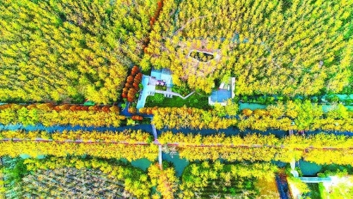 搭建湿地保护平台  擦亮绿色