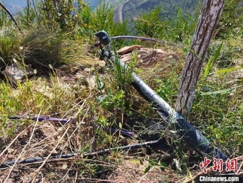 乌鲁木齐“树上山”项目让荒山成绿色屏障