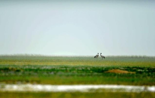 甘肃肃北：“戈壁矿城”变身“绿色明珠”