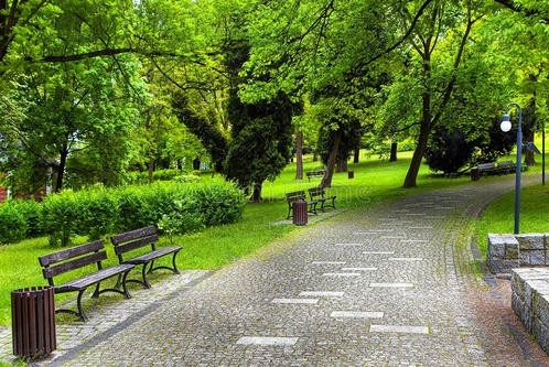 生态环境部相关负责人详解“正面清单”：简化审批、免于现场执法，并非“不管不问”