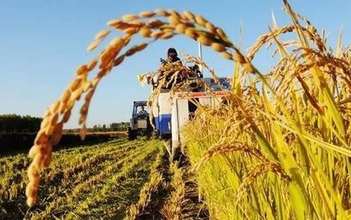 蔡继明：加快推进城乡土地同权化 构建农村脱贫长效机制