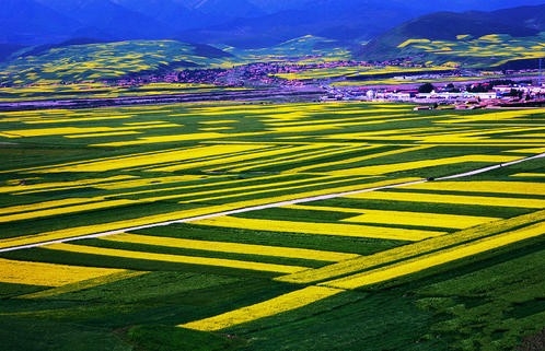 再生资源发展 助力建设绿色青海