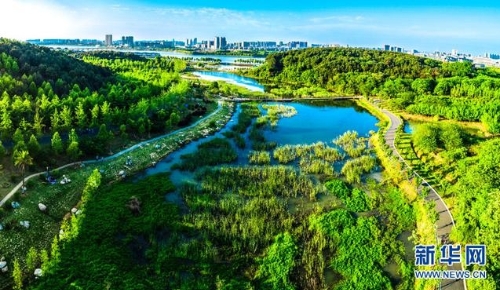 「迈向小康的江夏探索」绿色生态、先进制造、创新发展——高质量发展武汉江夏路径