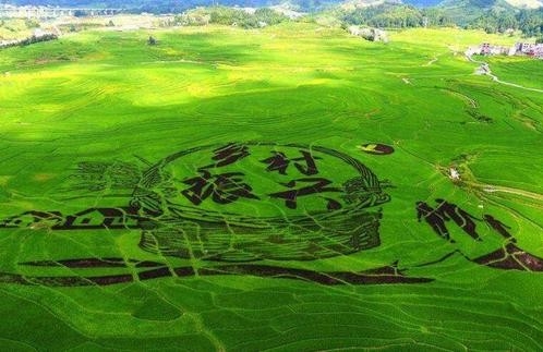 山东力争3年内培育约1000个景区化村庄 以文旅振兴乡村