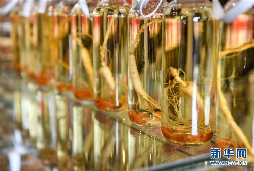 走向我们的小康生活丨“抱着”人参上“金山”——吉林抚松小屯村的致富经