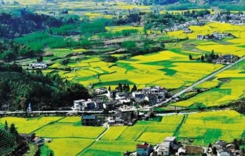 发展绿色有机农业