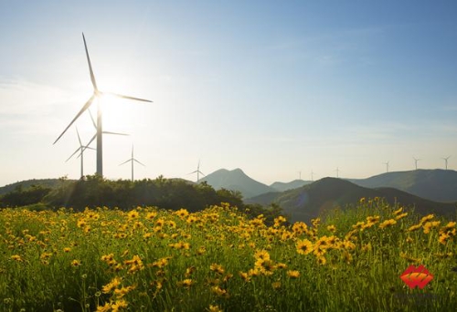 国家能源集团：把绿色写进东海之滨