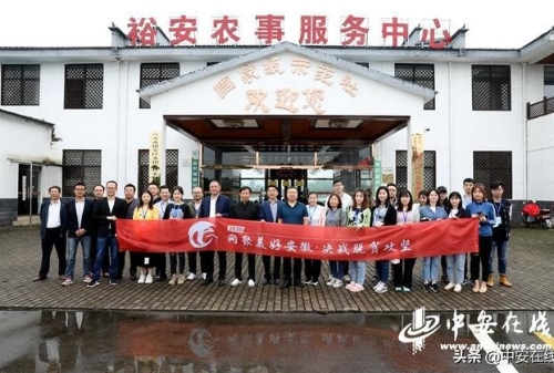 六安市裕安区：乡贤能人引领 绿色农业致富