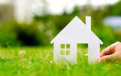 作为鹿城“绿色生活”代言人 他们这样践行绿色生活方式