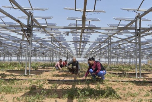 库布其沙漠光伏发电：锁住黄沙，输送绿电