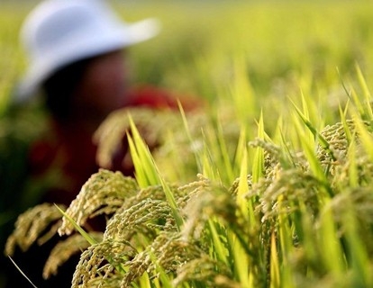 村里来了科技扶贫“智囊团”