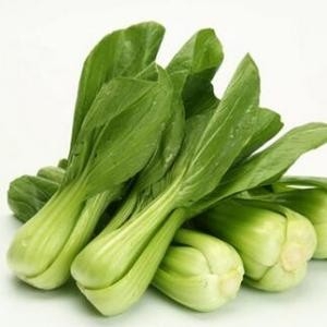 决战决胜脱贫攻坚|山东曹县：小油菜种出绿色脱贫致富路