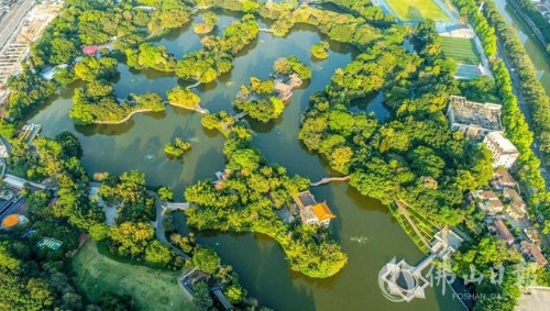 木林森！佛山人“绿色福利”到账了，出门即可查收