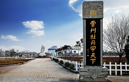 山东曹县：小油菜种出绿色脱贫致富路