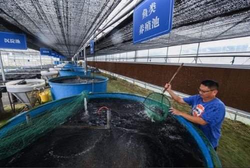 浙江湖州：推广绿色生态农业 助力现代农业发展