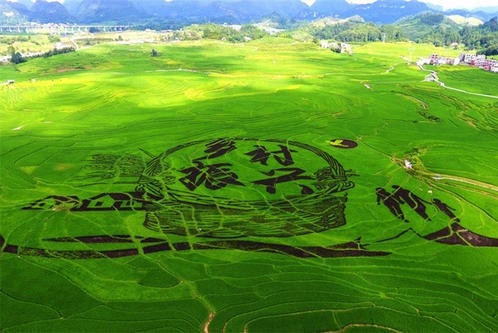 激活内生动力为乡村赋能（一线视角）