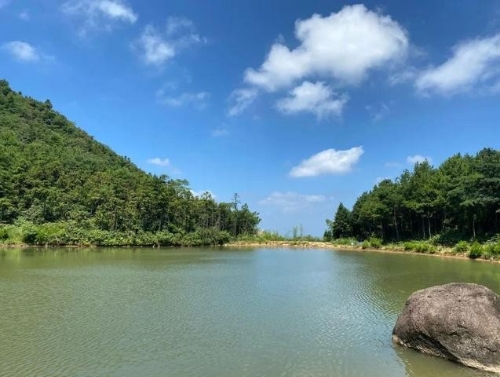 绿色发展解锁乡村振兴“幸福密码” 常山奋力书写“两山”实践时代答卷