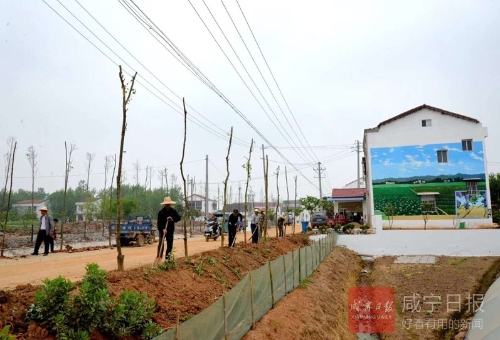 美丽乡村的“绿色钥匙” —— 赤壁市官塘驿镇绿色发展之路探索