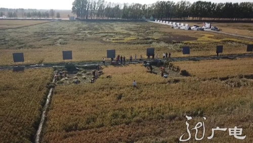 黑龙江：扩大绿色有机农产品种植 让国人“饭碗”多装绿色粮